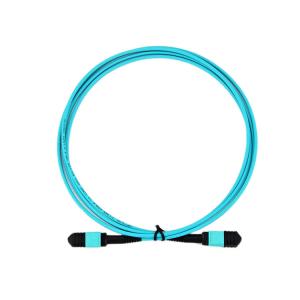 Wholesale OM3 Mtp MPO Patch Cord Cable from china suppliers
