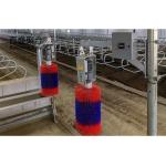 ISO9001 2008/CE/BV Certified Prefabricated Steel Beams H Beams Livestock Shed