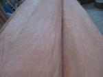 Rotary Cut Red Cedar Wood Veneer Sheet, Face/Back Grade