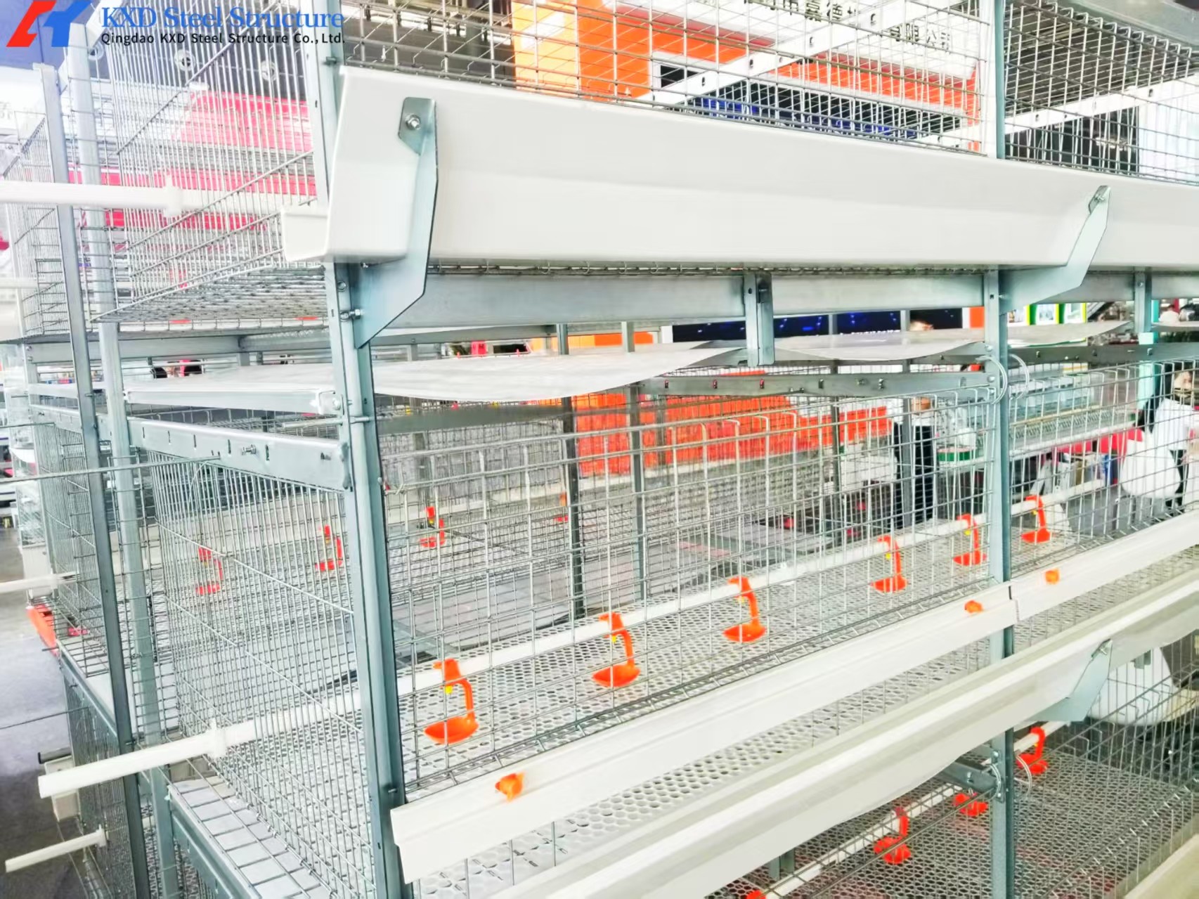 Modern Poultry Farm Chicken Farm Steel Structure Building Light Steel Structure Poultry House