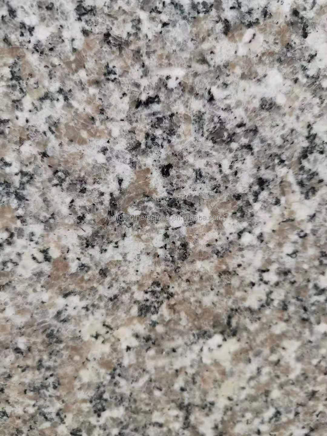 2800kg/m3 Density Chinese Granite Stone Polished for Modern Big Slab Natural Cut-to-Size