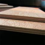 Commercial BB CC Grade 1220*2440*18mm Bintangor Plywood