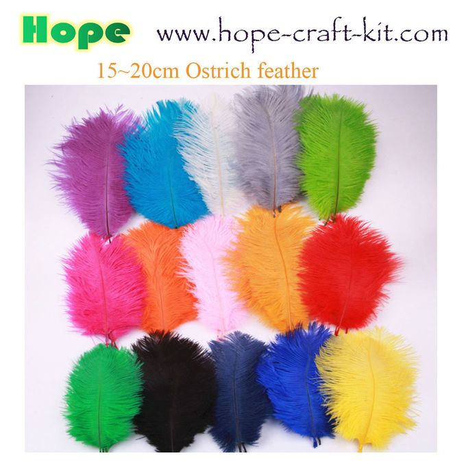 Various size of goose feathers, turkey feathers, chicken feathers, peacock , ostrich feathers for hobbies and kids DIY