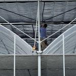 Serre Invernadero Tomato Multi Span Greenhouse Agricultural with Intelligent