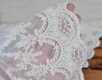 Beige Floral Embroidery Mesh Lace Ribbon Trim , Cotton Nylon Tulle Lace Trim