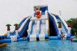 Boonie Bear Commercial Inflatable Water Park , Blow Up Water Playground