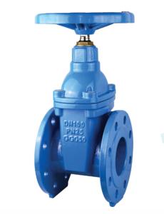 Wholesale Renewable Seat Gate Valve BS5163 Medium Pressure Ductile Iron Body Material from china suppliers