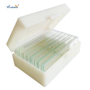 Wholesale Laboratory Disposable Microscope Prepared Slides 12pcs Beans Anther Meiosis from china suppliers