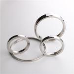 Heatproof Oval RX39 Stainless Steel Seal