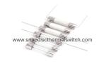 Wide Temperature Euro 5 * 20 Mm Glass Tube Fuse For Loudspeaker