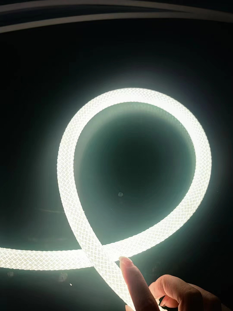 10m 20m 50m Led Neon Flex Rope Light 12V 24v Low Voltage 360 Degree