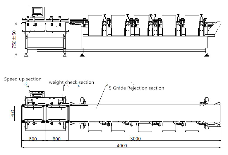 Multi Sorting Grades Stainless Steel Automatic Weight Grading Machine 2 Years Warranty
