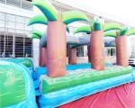 Long Palm Tree Commercial Bounce House Water Slide Multi Color