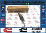 Fuel Injector Assembly 4062569 4928260 4088665 4088725 4954888