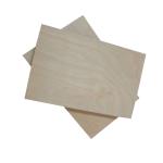 Furniture Material Hardwood 5mm 18mm Birch Faced Plywood