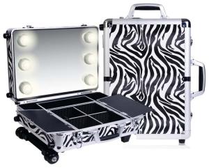 Wholesale Professional aluminum makeup beauty case from china suppliers