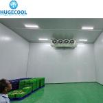 Water Cooling Beef Slaughter Plant Factories With Stainless Steel Panel Blast