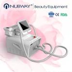 Beijing China factory price of 2 handles cryolipolysis slimming machine body