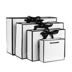 28x21x8cm Apparel Art Paper Bag