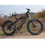 Adult Electric Mountain Bike MTB with Kontax Mid Snow Motor and Carbon Fiber