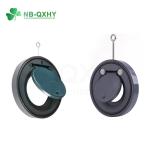 Industrial Usage Pressure Pn10 200psi UPVC/PVC Pipe Non Return Swing Wafer Check