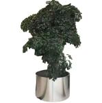 Outdoor Garden Large Black White Outdoor Steel Flower Metal Tree Pots Tree