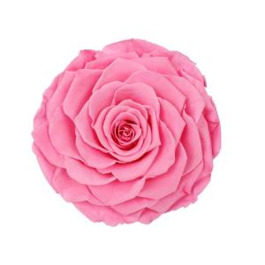 Wholesale Decorative Preserved Rose Heads Maintain Natural Beauty &amp; Colour For A Long Time from china suppliers
