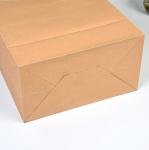 Food Grade Take Away Kraft Paper Shopping Bags White Card Paper Bags