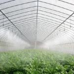 Multispan Hydroponics Plastic Film Agricultural Greenhouse for Commercial Farm