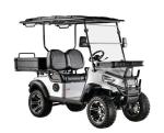 Support Customized Two-Seater Cargo Truck 4kw Aluminum Alloy Carbon Steel