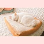 Soft Feeling Cotton Seat Cushion , Cute Chair Cushions 50 * 40 * 15CM