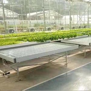 Wholesale Plant Growing Greenhouse Accessories 4'×8' 4'×10' Ebb And Flow Rolling Bench from china suppliers
