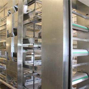 Wholesale Mechanical Livestock Farming Equipment , Manure Removal Battery Cage System from china suppliers