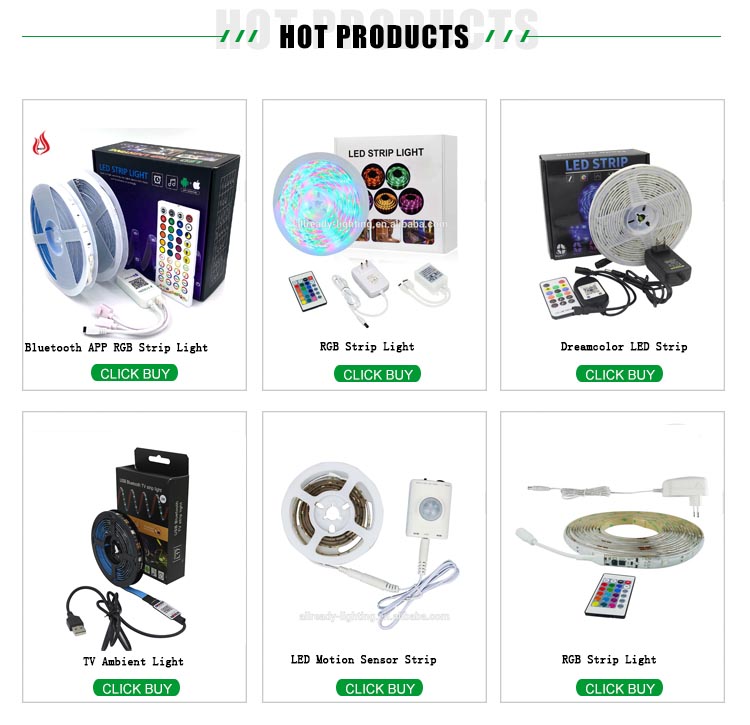 DC12V work with Alexa google assistance App and remote rgb rgbic addressable waterproof programmable wifi smart led light strip