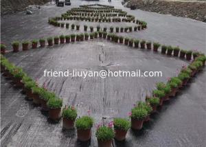 Wholesale Strong Strength PP Weed Control Cover Fabric 100gsm Durable PP Woven Cover Fabric from china suppliers