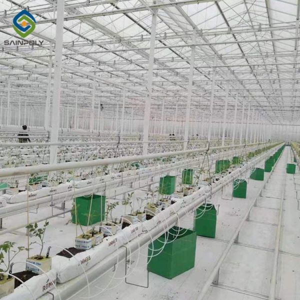Shading System 6.0m Multi Span Greenhouse For Tomatoes