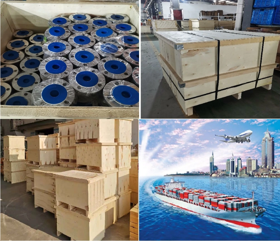 OEM Port Size Stainless Steel Filter Flange Y Strainer with General Design and Flange