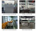 10000BPH Litchi Juice beverage Filling Machine Tea fruit 6500KG 2.2KW