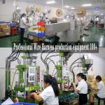Electric Vehicle Wiring Harness for Operation in EURO Market OEM Color and OEM
