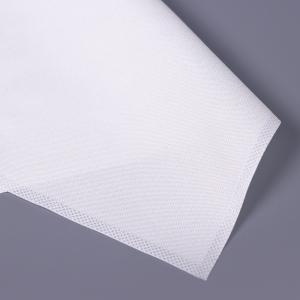 Wholesale 100pcs 22x22cm Sterile Cleanroom Wipes Aseptic Processing Lint Free Industrial Wipes from china suppliers