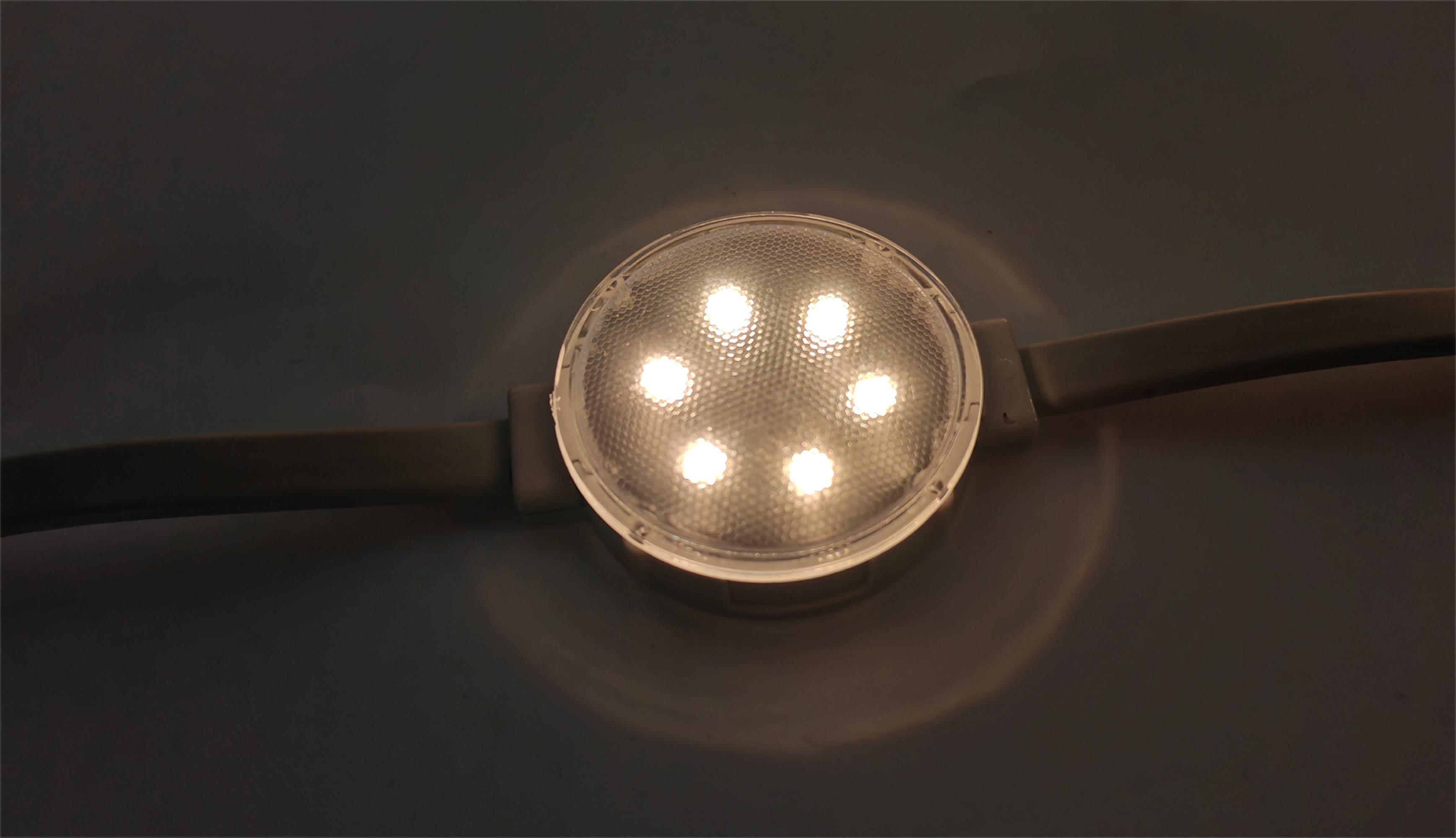 Permanent Holiday Christmas RGB Pixel Led App Smart Controller Decoration Led Point Lights