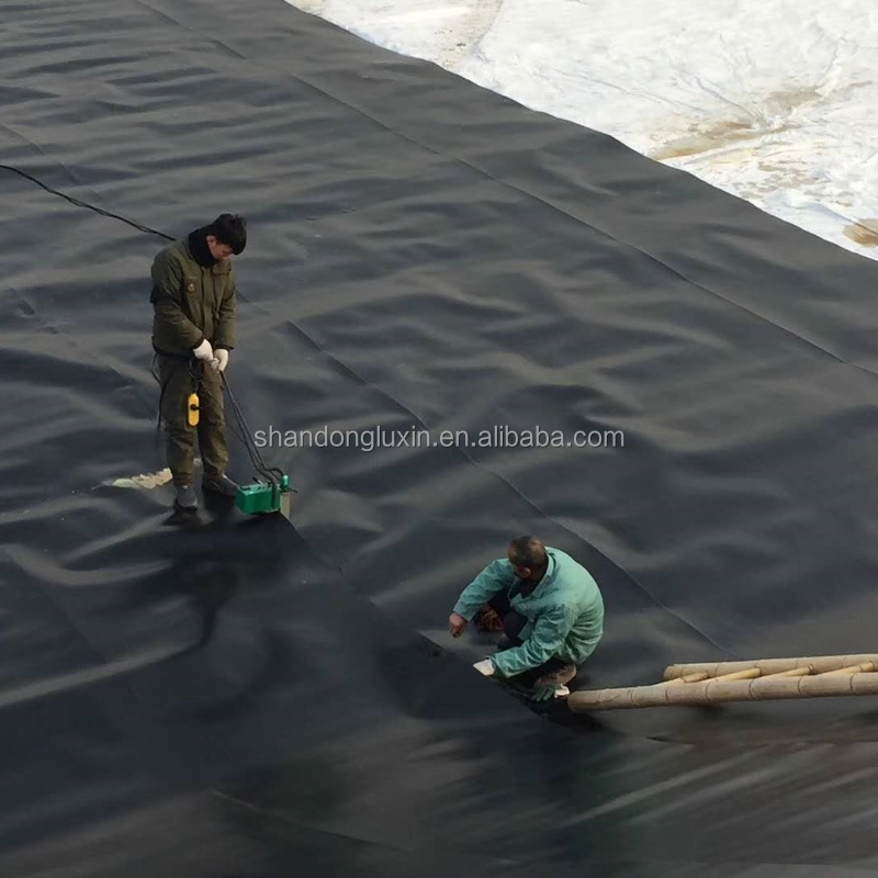 Direct Sale Geomembrane for Tailings Pond Highway Slopes Fish Ponds Free Spare Parts