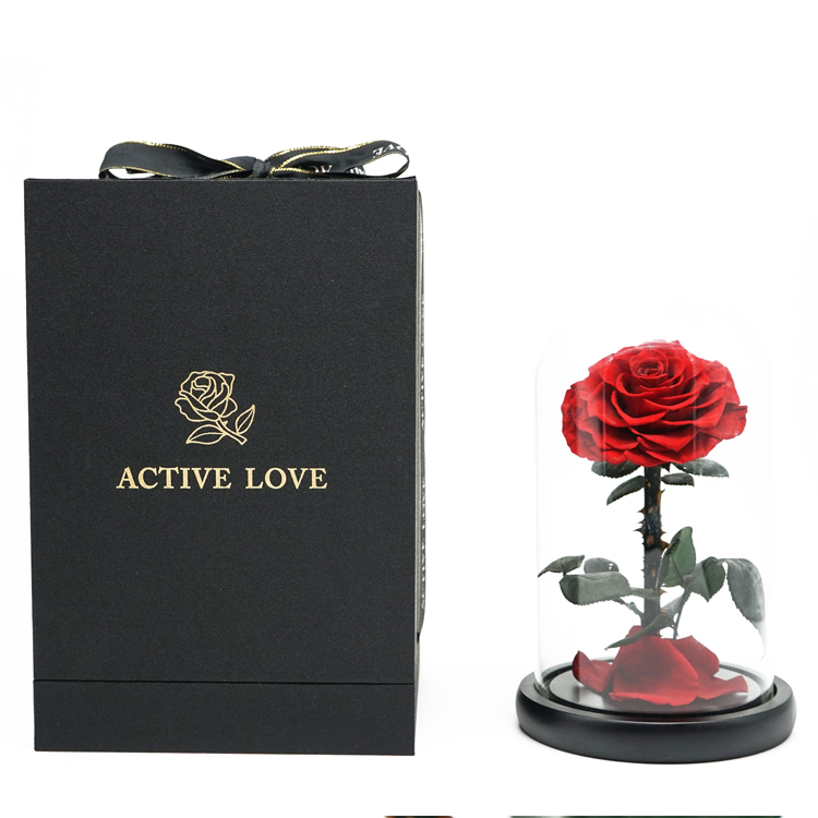 Everlasting Preserved Rose Glass Dome Bring A Unforgettable Experience