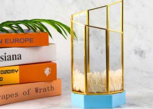 Wholesale Simple copper geometric glass cover container pot simulation flower storage combination diagonal greenhouse glass box from china suppliers