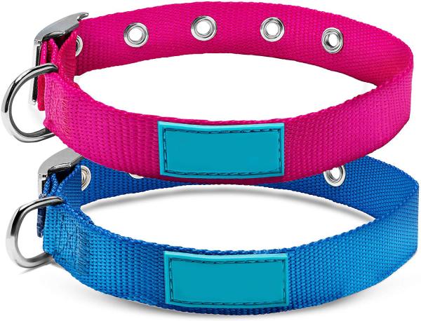 Solid Color Heavy Duty Martingale Collar Eco Friendly Adjustable Nylon Dog