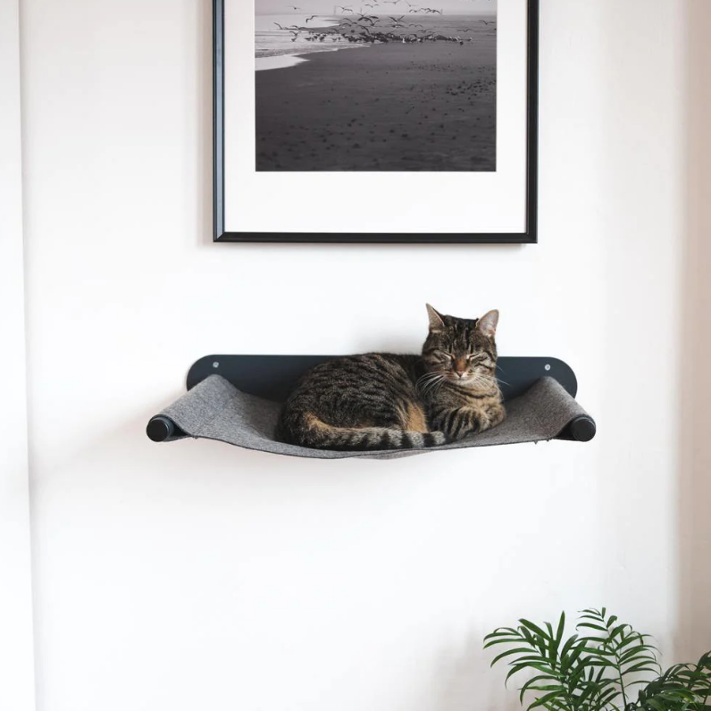 Customized Heavy Duty Cat Shelf Handcrafted Frame Wall Mounted Cat Iron Furniture Rack