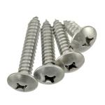 M4*14mm Phillips Truss Head Self Tapping Sheet Metal Screw 304 Stainless