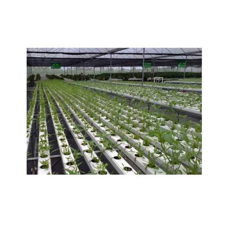 2" 3" 4" Hydroponic System Growing Plant Aquaponic Net Pot Durable Slotted Mesh Design