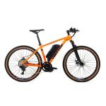 48V10A 750W 29er Electric Mountain Bike Bafang Mid Motor SRAM NX 11S