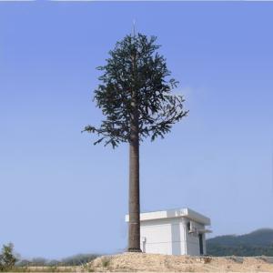 Wholesale 60m Self Supporting Disguised Cell Phone Towers from china suppliers